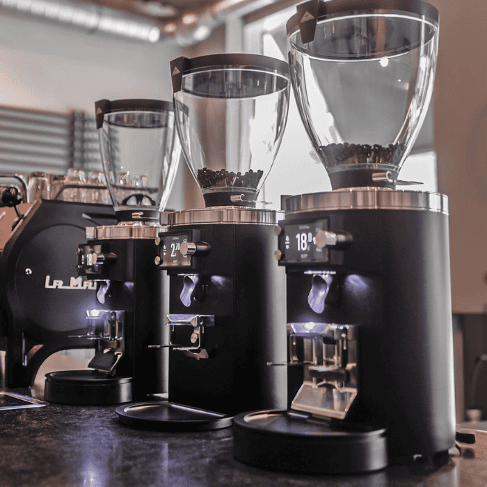 Mahlkönig E80S Mahlkönig E80S grinder with 80mm flat burrs and illuminated spout
